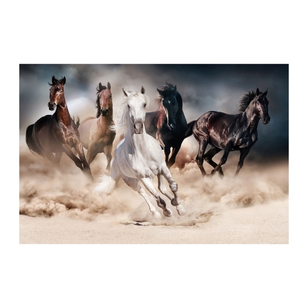 Obraz HORSES 120x80 - Signal